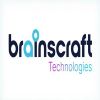 Brainscraft Technologies logo - Similar company to Webmetric