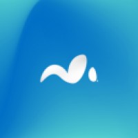 Maven AI Solutions logo - Similar company to Pulsifyai