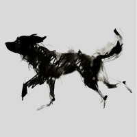 Wild at Heart Foundation logo - Similar company to Becomingx