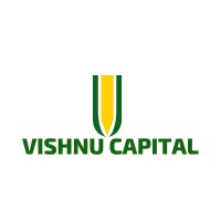 Vishnu Cap logo - Similar company to Tech Teacher Debashree