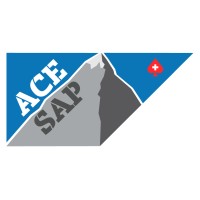 ACE/SAP logo - Similar company to Phoenix Erp Solutions Ltd