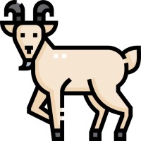 The Pitch Goat logo - Similar company to Venture Shape - Biotech Web Design And Pitch Decks