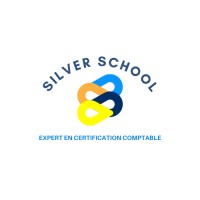 SILVER SCHOOL logo - Similar company to Stage Up