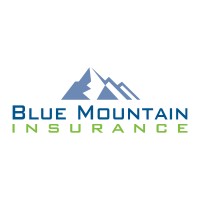 Blue Mountain Insurance, Inc.