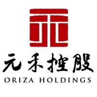 Oriza Holdings logo - Similar company to Massif Wealth Systems