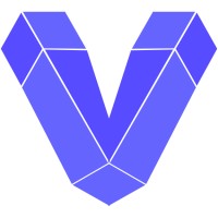 Vector Mind logo - Similar company to Smart System Services