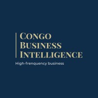 Congo Business Intelligence logo - Similar company to Business Intelligence Solutions