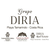 Grupo Diria