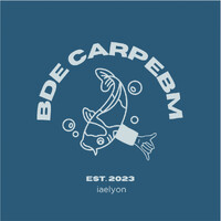 BDE CarpeBM logo - Similar company to Piksevent