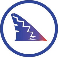 Bluefin Solutions logo - Similar company to Netcyphers