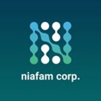 Niafam Informatics services Corporation logo - Similar company to Datak Telecom