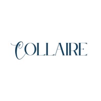 Collaire logo - Similar company to Plan B - Stratégie & Action