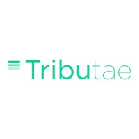 Tributae logo - Similar company to Tributtae - Madrid