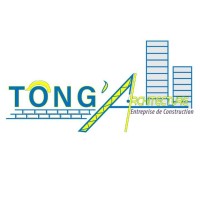 Tong'Architecture S.A.R.L logo - Similar company to Digi Engineering