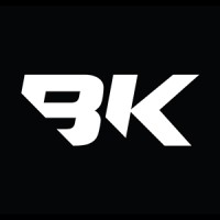 BK COMP logo - Similar company to Bck