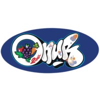 Onur 2009 logo - Similar company to Gps Bulgaria Ad