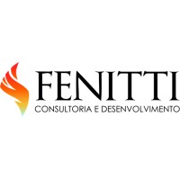 Fenitti Consulting logo - Similar company to Benytecno Solutions