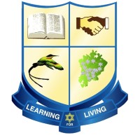 Hillel Academy logo - Similar company to Calabar High School