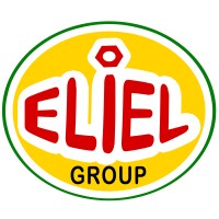 Eliel Group logo - Similar company to Unity.Org