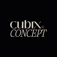 CUBIX CONCEPT AGENCY logo - Similar company to Birdhouce