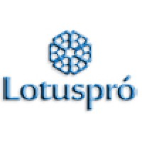 Lotuspro It & Web Services