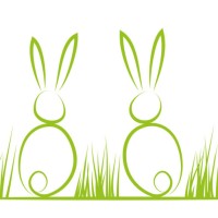 Two Rabbits Media logo - Similar company to Earning Roots | Authorize Partner Of Choice Broking