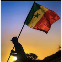 Free Sénégal 🇸🇳 logo - Similar company to Free Caraibe