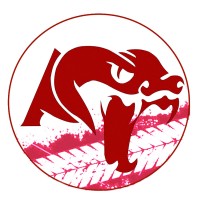 Baja Víbora logo - Similar company to Eco Ime Racing