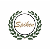 Spiken logo - Similar company to Cubesoft Gmbh