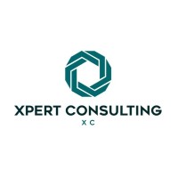 Xpert Consulting logo - Similar company to Dsl Services / Idf