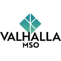 Valhalla MSO logo - Similar company to Vigilantpay
