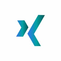 CodekSol logo - Similar company to Snappie Analytics Ltd