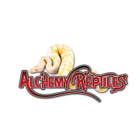 Alchemy Reptiles logo - Similar company to Snake Discovery
