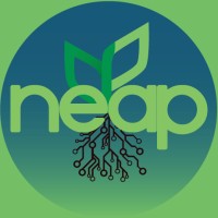 NEAP-UFV logo - Similar company to Asban - Associação De Bancos