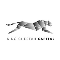 King Cheetah Capital Inc. logo - Similar company to Vmg Labs