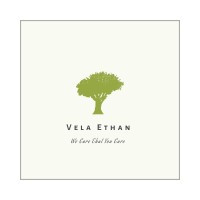 Vela Ethan International Co.,Ltd. logo - Similar company to Quadratyx Ai