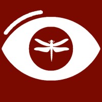 Cmo4Hire & Dbmms.Io