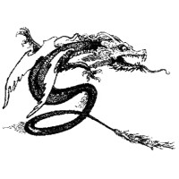 DRAGONPACK s.r.l. logo - Similar company to Celestia Callisto