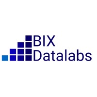 BIX Datalabs logo - Similar company to Transformação Rh
