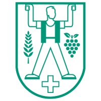 Schweizer Hagel logo - Similar company to Swissdataapps