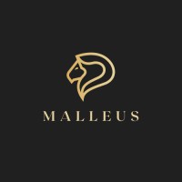 Malleus Digital logo - Similar company to Invigorum | Dfy Agency