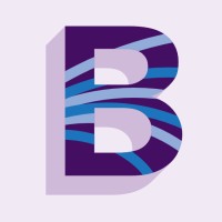 Borealis Philanthropy logo - Similar company to Peak Grantmaking