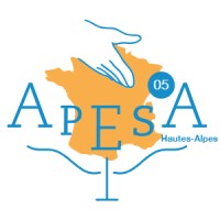 APESA 05 logo - Similar company to Clik Gallery