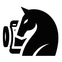 ChessCam logo - Similar company to Viewerslogic