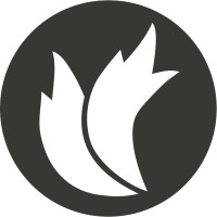 Two Tails logo - Similar company to Antler Studios