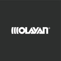 The Olayan Group logo - Similar company to Juffali