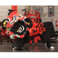 CWS Lion Dance logo - Similar company to Omnia Advisors