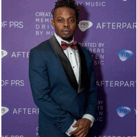 Ife Ladi (Maestro) logo - Similar company to Stonegate Ltd