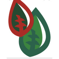 ROYALVEG FRESH PRODUCE SL logo - Similar company to Somos Thinking
