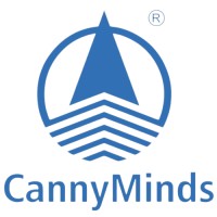 CannyMinds Technology Solutions LLC logo - Similar company to Cannyminds Technology Solutions